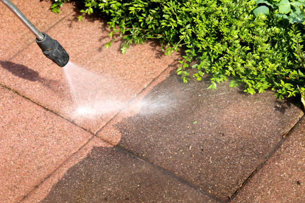 Roof Power Washing Services in La Conner, WA